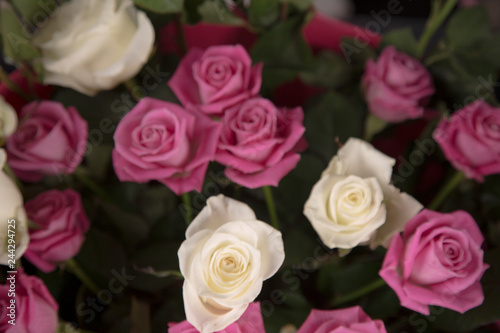 A bouquet of white and pink roses for a Valentine s gift