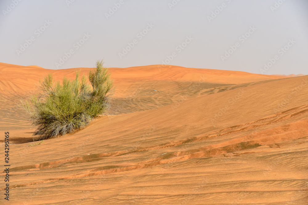 Pink Rock, Sharjah desert area, one of the most visited places for Off-roading, dune bashing and adventure by off roaders