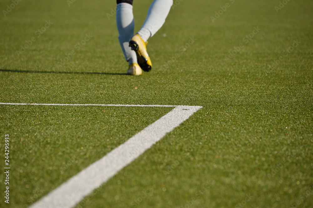 Obraz premium artificial turf