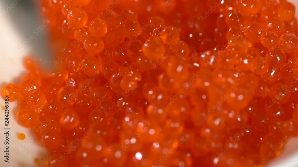 Red caviar is put in a spoon. slow motion Red caviar is put in a spoon. slow motion