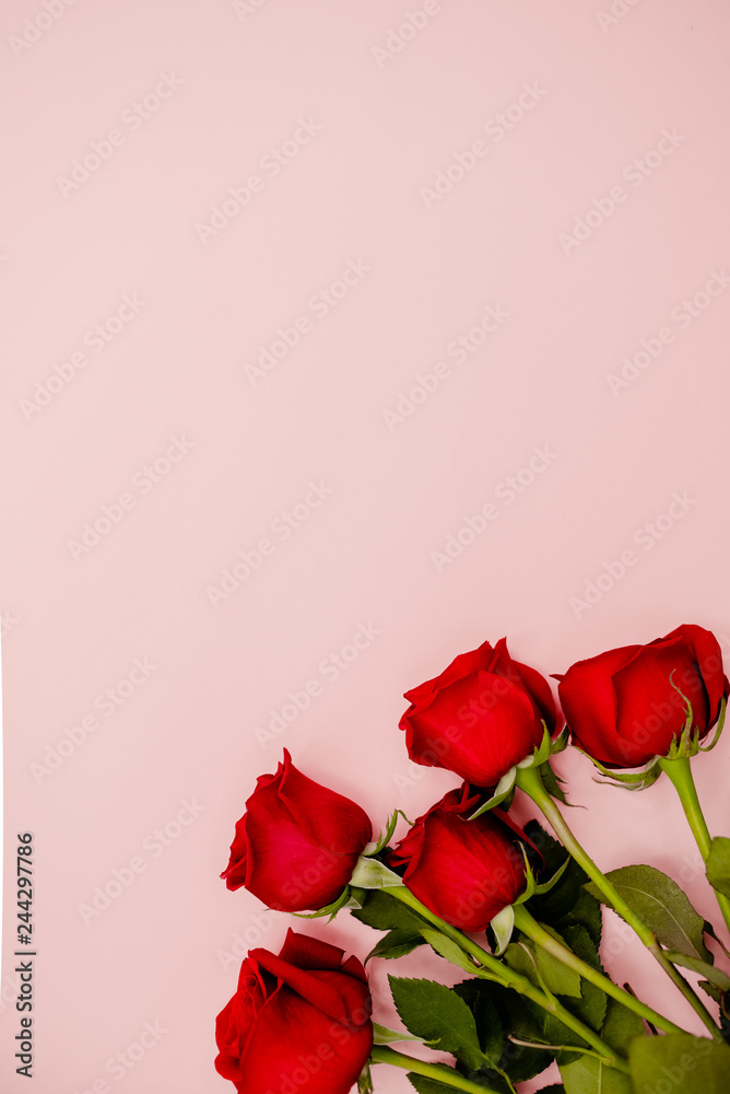 Obraz premium Red rose bouquet of flowers on a pink background . 8 march holiday concept. Concept. Top horizontal view.