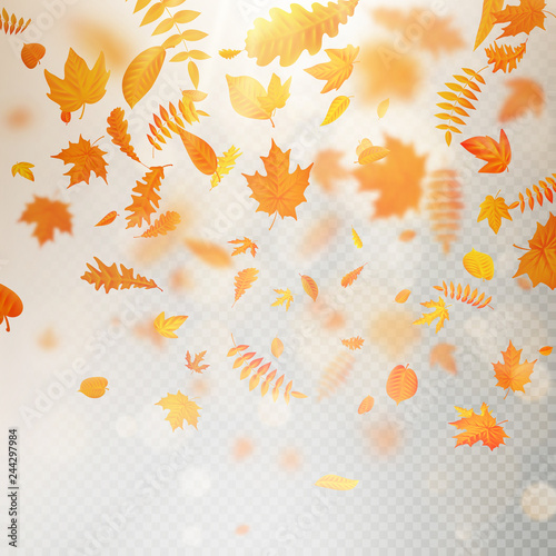 Effect of autumn falling leaves layer with shallow DOF blur. Autumnal foliage fall template. Warm color. EPS 10