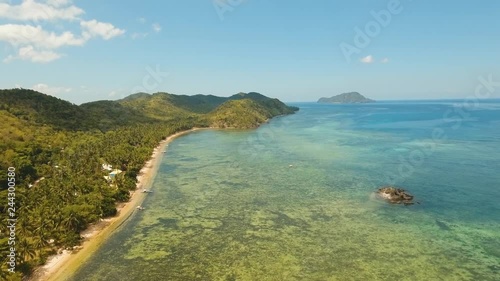 Aerial sand beach and palm trees on tropical island with turquoise sea. tropical seascape s Tropical landscape ocean, sky, sea Busuanga, Palawan, Philippines photo