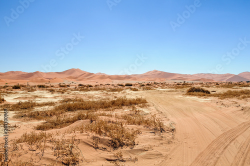 Road in the Namib Desert / Road in the Namib desert to the horizon, Namibia, Africa.