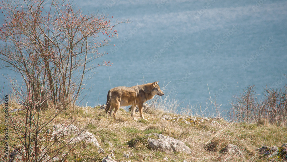 Fototapeta premium abruzzo