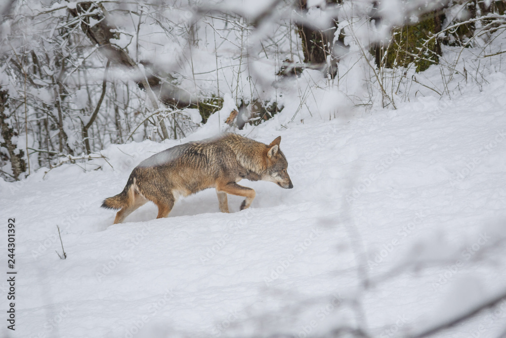 Obraz premium abruzzo