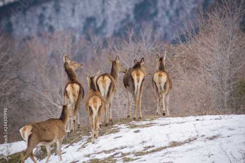 abruzzo photo