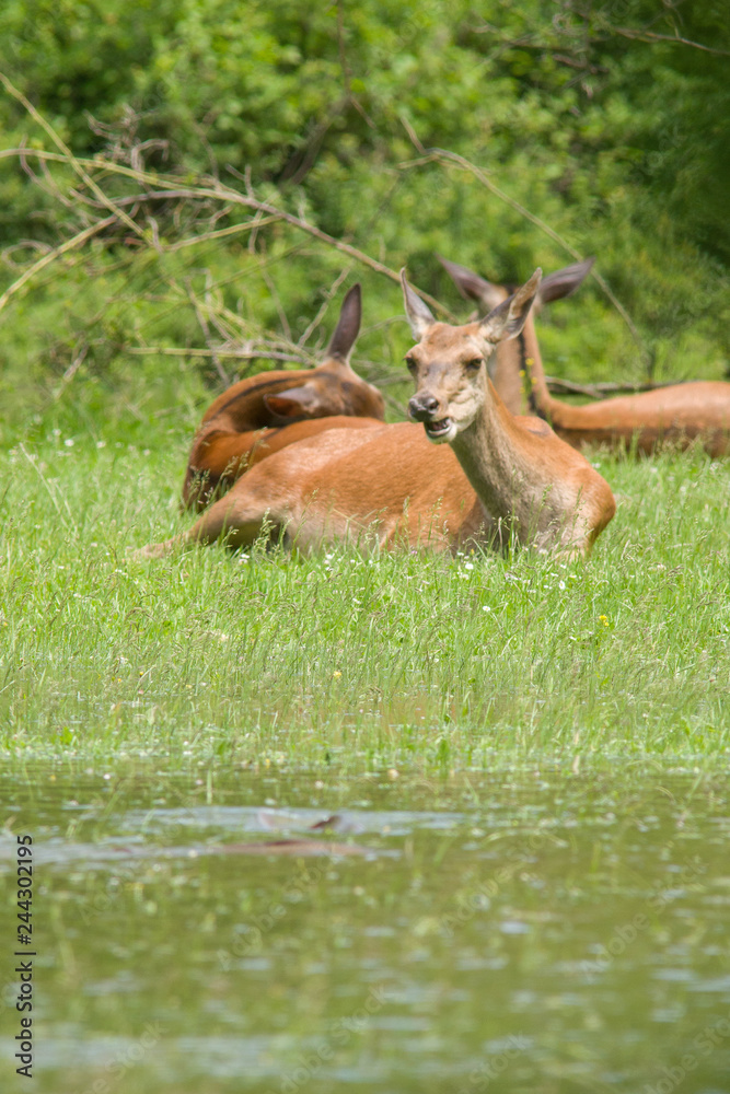 Obraz premium abruzzo