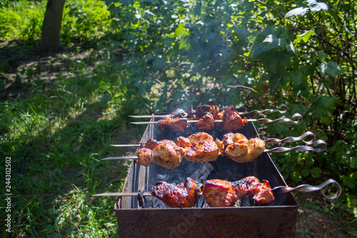 GRILL FROM FRESH OF JUNNY APPETITE MEAT OF CHICKEN