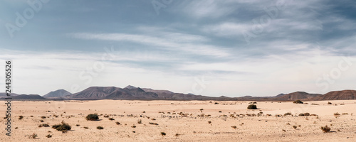 Fotografiet Panoramic empty desert background with copy space