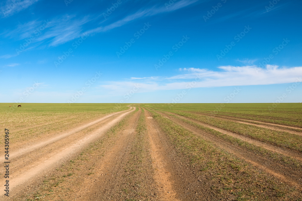 Provisional road tracks through plain landscape with perfect blue sky and few clouds (Gobi Desert, Mongolia, Asia)