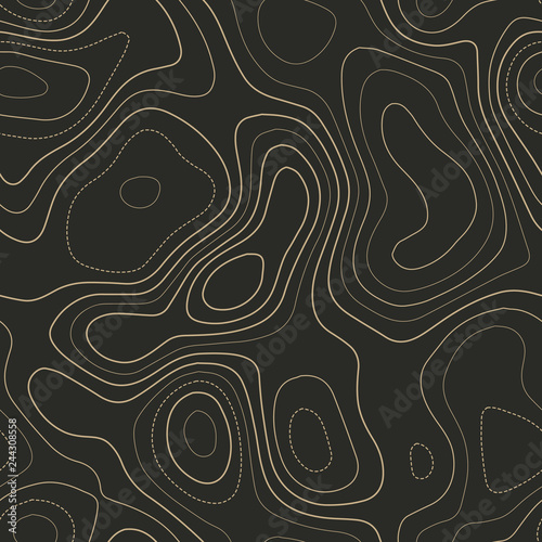 Terrain topography. Actual topography map. Seamless design. Ravishing tileable isolines pattern, vector illustration.