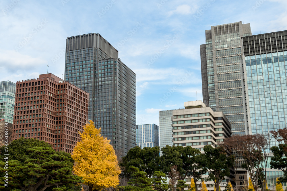 冬の東京大手町　高層ビル群と公園３