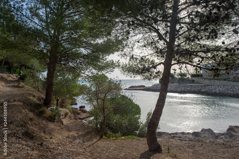 Naklejka premium The coast of l'ametlla de mar on the coast of tarragona