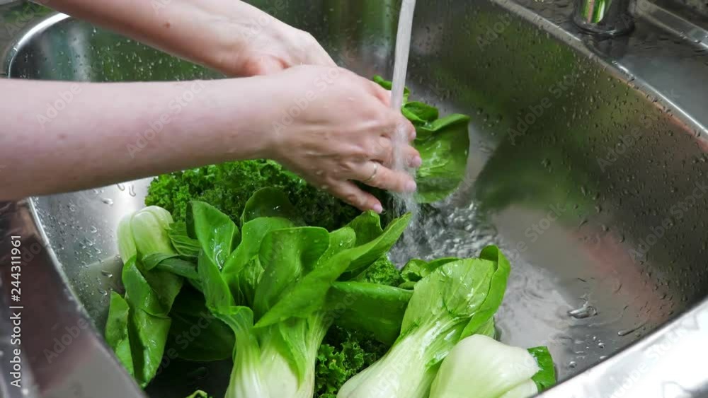 Woman washing in water in sink green pok choy cabbage leaves in kitchen, organic healthy food Woman washing in water in sink green pok choy cabbage leaves in kitchen, organic healthy food