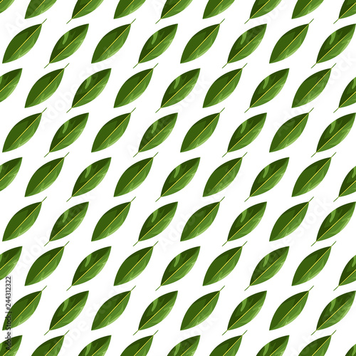 Green leaves seamless patter