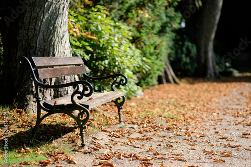 Sitzbank in einem Friedhofspark im Herbst