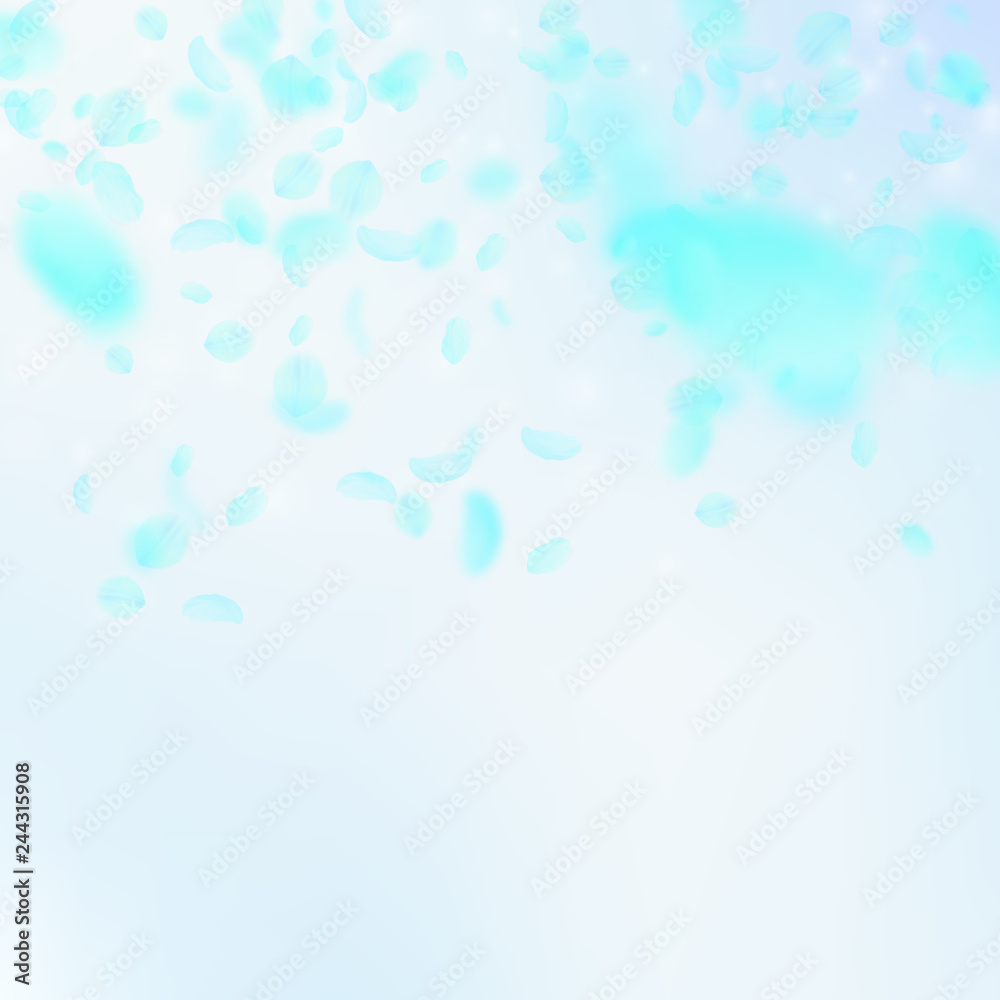 Turquoise flower petals falling down. Pretty roman Turquoise flower petals falling down. Pretty roman