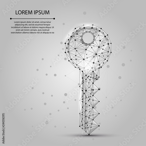 Polygonal wireframe mesh keyfrom dots and lines. Security or success vector illustration.