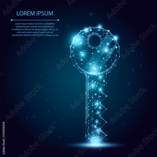Polygonal wireframe mesh key on blue night sky with dots, lines and stars. Security or success vector illustration.