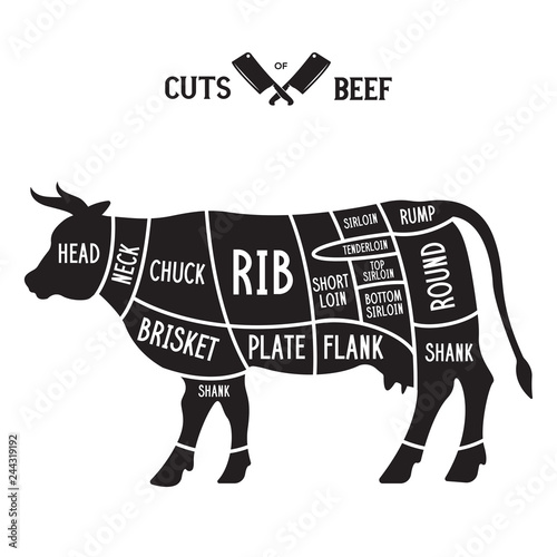 Meat cuts - beef. Diagrams for butcher shop. Scheme of beef. Animal silhouette beef. Guide for cutting.