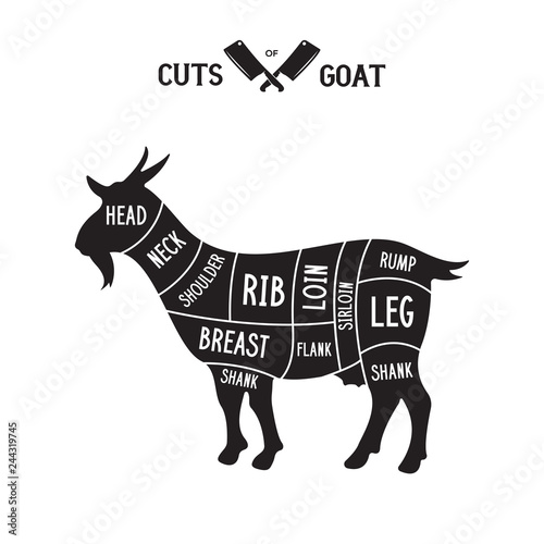 Meat cuts - goat. Diagrams for butcher shop. Scheme of goat. Animal silhouette goat. Guide for cutting.