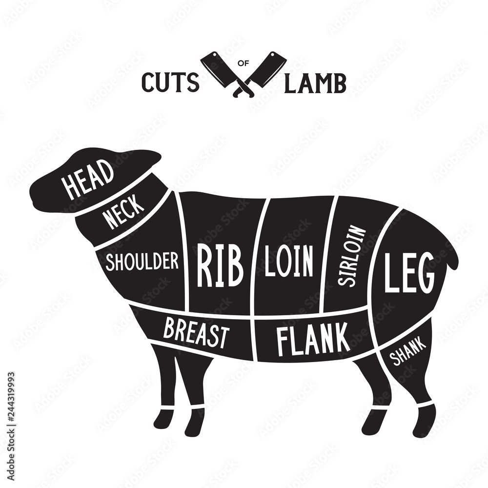 Fototapeta premium Kawałki mięsa - jagnięcina. Schematy dla sklepu mięsnego. Schemat baranka. Baranek sylwetka zwierzęcia. Przewodnik po cięciu.