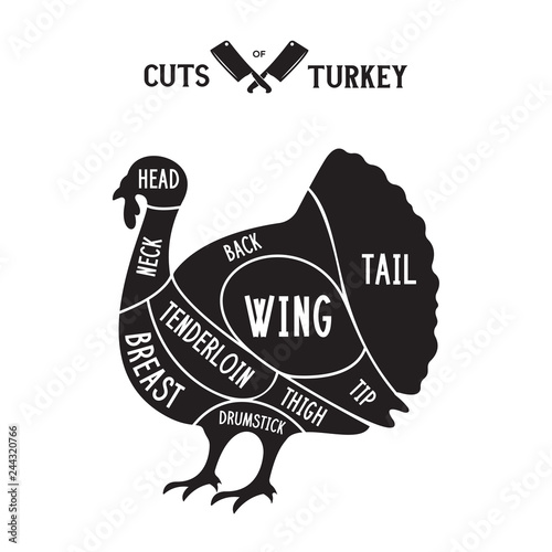 Meat cuts - turkey. Diagrams for butcher shop. Scheme of turkey. Animal silhouette turkey. Guide for cutting.