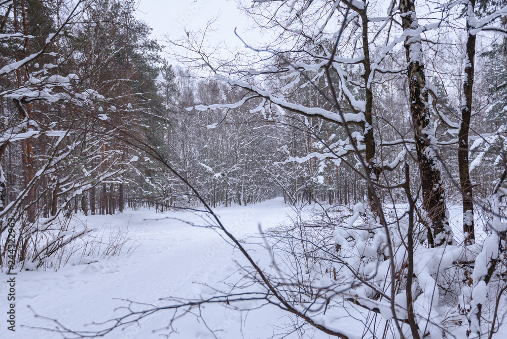 Snowy winter road in the winter forest Snowy winter road in the winter forest