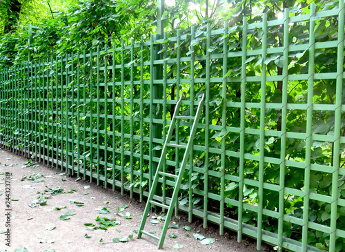 Garden device