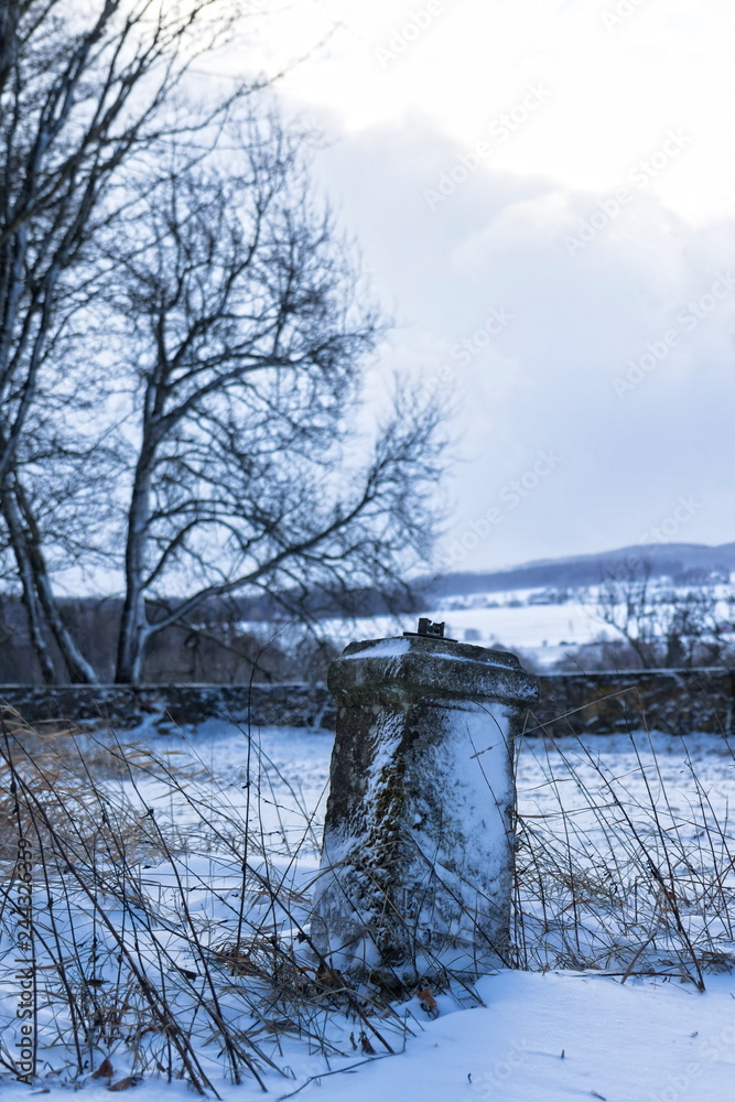 Single tombstone in winter