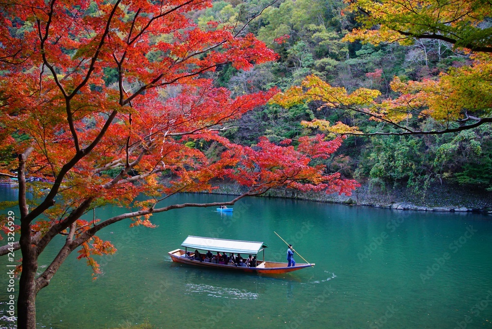 Naklejka premium Jesienne liście Kioto Arashiyama