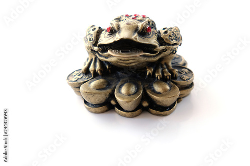 three legged toad with a coin in his mouth isolated on black background