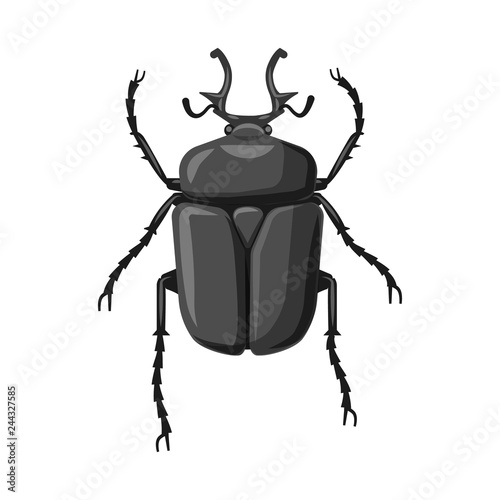 Vector design of insect and fly logo. Collection of insect and element vector icon for stock.