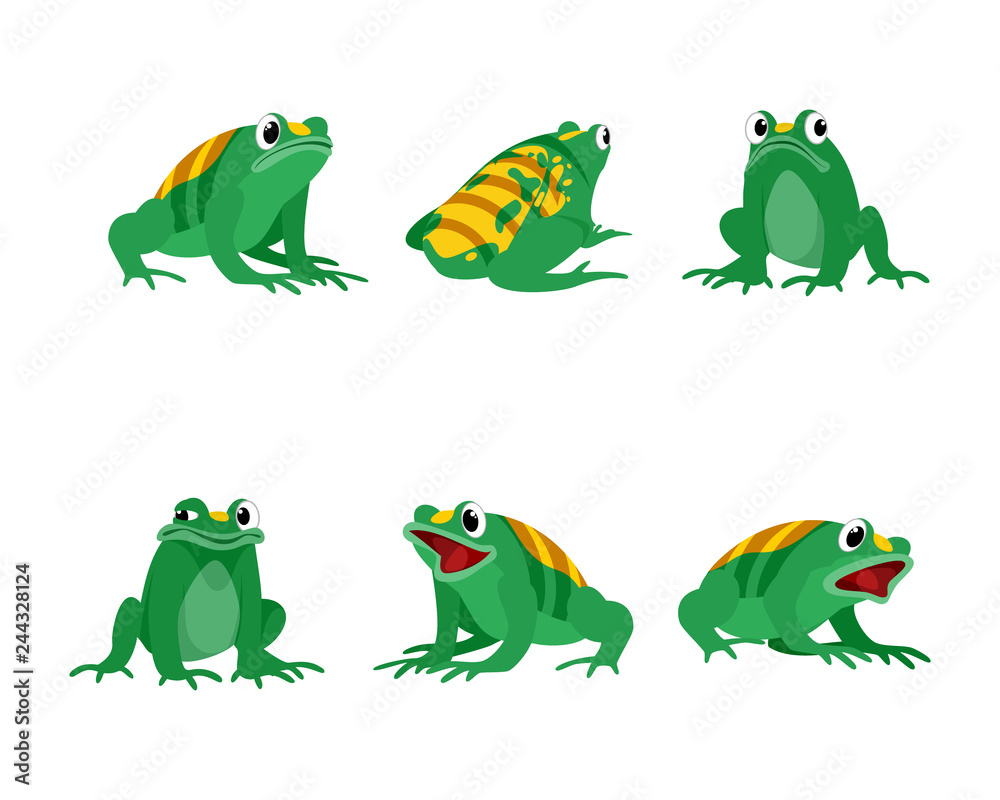 Animal hybrid frogs and bees