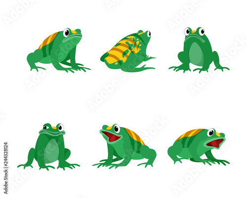 Animal hybrid frogs and bees