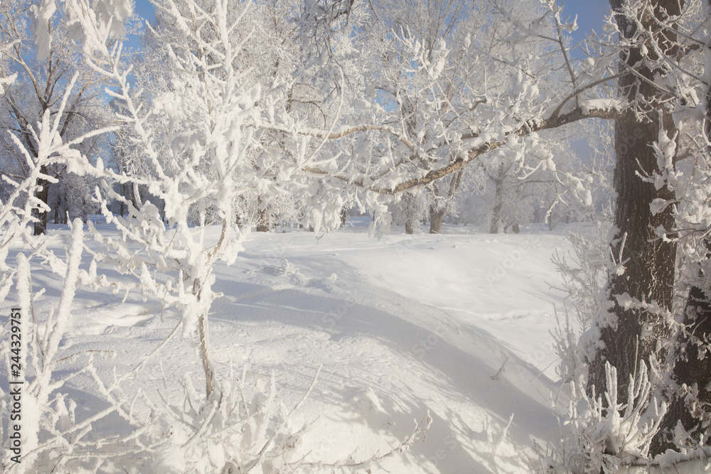 Winter landscape. Cold day. Winter landscape. Cold day.