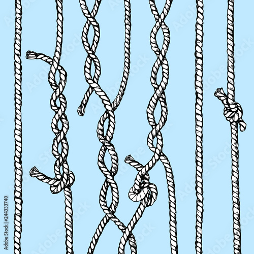 Hand drawn vector illustration of twisted ropes and knots