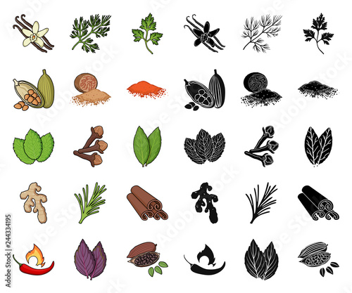 Herb and spices cartoon,black icons in set collection for design.Different kinds of seasonings vector symbol stock web illustration.