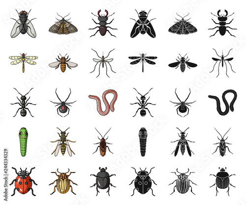 Different kinds of insects cartoon,black icons in set collection for design. Insect arthropod vector symbol stock web illustration.
