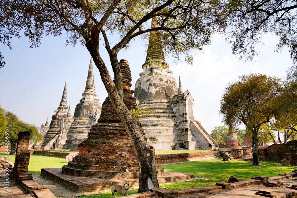 The Wat Mongkol Bophit is a Buddhist temple located in Ayutthaya, Thailand. This place also be one of ayutthaya historical park.