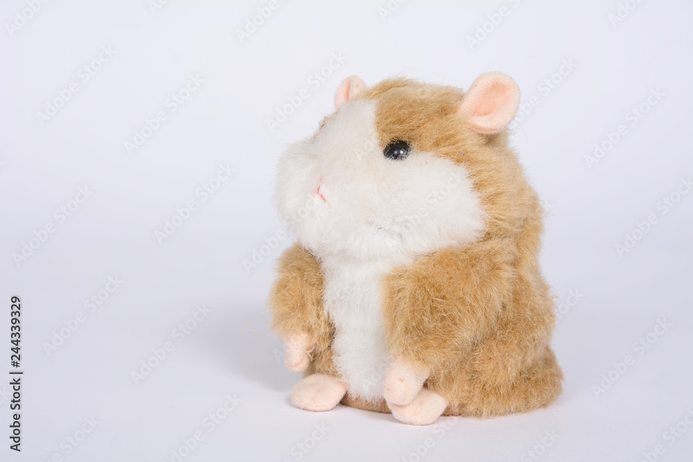 Hamster soft toy on a white background