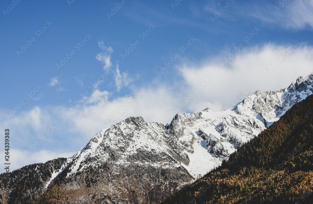 Magnificent view of white snowy Alp mountains and dark green and brown coniferous trees hill under the blue november sky with clouds. Autumn sunny day in the Alps, Chamonix, France