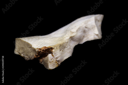 Piece of natural petrified wood with opal on black background
