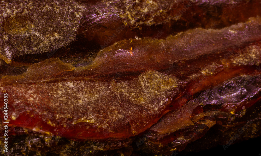 The texture of a natural piece of amber macro The texture of a natural piece of amber macro