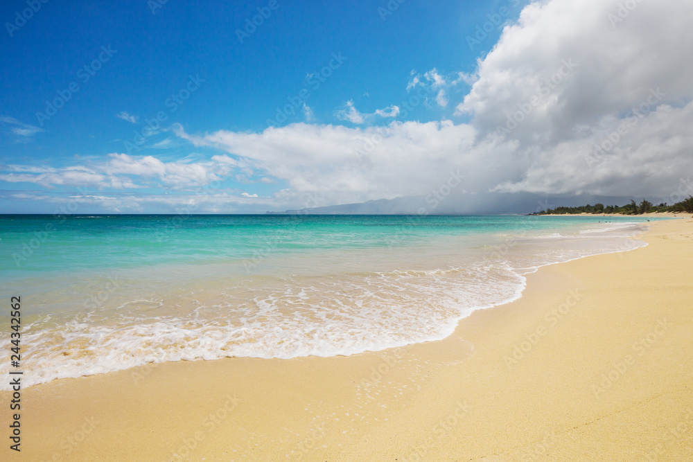 Hawaiian beach