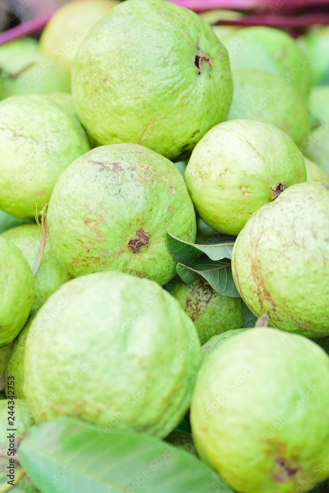 Fresh Guava fruits at street side vegetable market in India Fresh Guava fruits at street side vegetable market in India