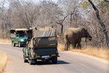 2 Jeeps mit Touristen beobachten Elefant