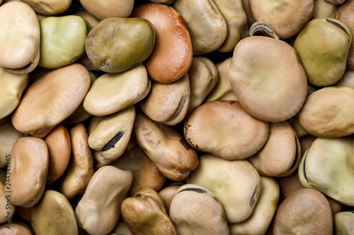 dry beans closeup