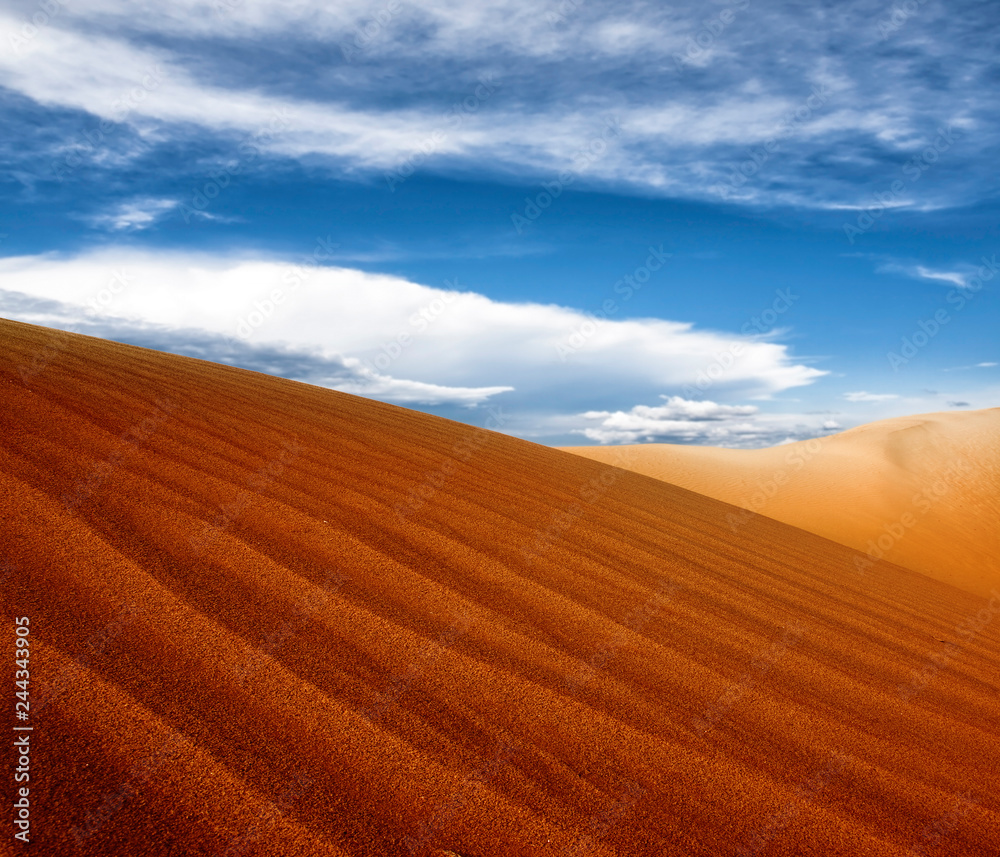 Fototapeta premium Sunset over the Sahara Desert